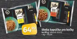 Coop Sheba kapsička pro kočky nabídka