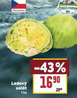 Billa Ledový salát nabídka