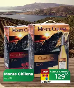 Tamda Foods Monte Chilena nabídka
