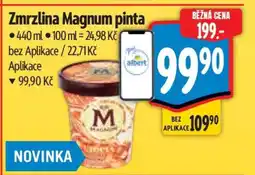Albert Zmrzlina Magnum Pinta nabídka