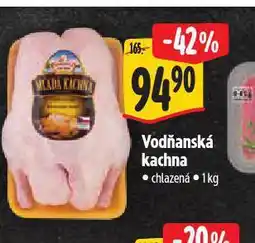 Albert Vodňanská kachna nabídka