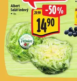 Albert Salát ledový nabídka