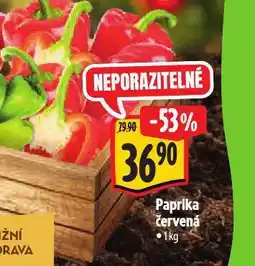 Albert Paprika červená nabídka