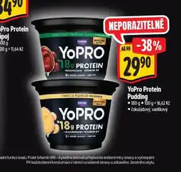 Albert Yopro protein pudding nabídka