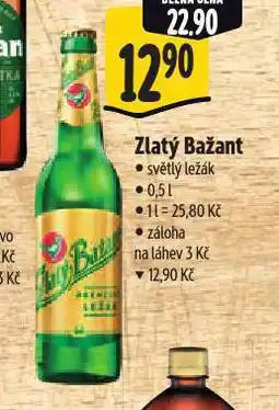 Albert Pivo zlatý bažant nabídka