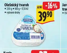 Albert Olešnický tvaroh nabídka