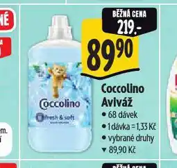 Albert Coccolino aviváž nabídka