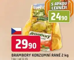 Trefa BRAMBORY KONZUMNÍ RANÉ 2 kg nabídka