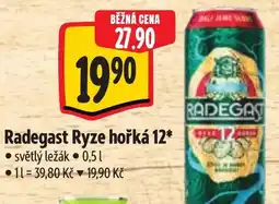 Albert Radegast Ryze hořká 12 nabídka