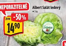 Albert Albert Salát ledový nabídka