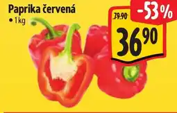 Albert Paprika červená nabídka