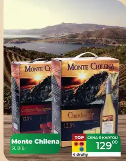 Tamda Foods Monte Chilena 3L nabídka