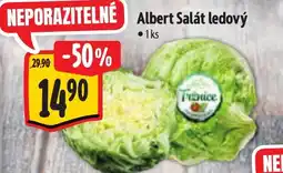 Albert Albert Salát ledový nabídka