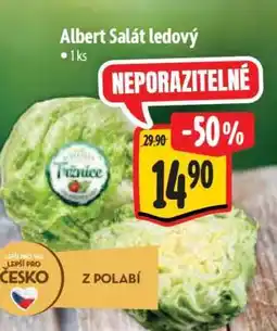 Albert Albert Salát ledový nabídka