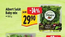 Albert Salát baby mix nabídka