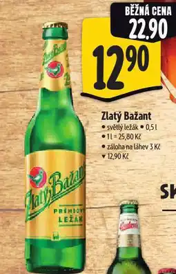 Albert Pivo zlatý bažant nabídka