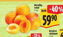 Albert Meruňky nabídka
