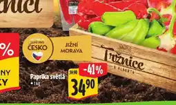 Albert Paprika světlá nabídka
