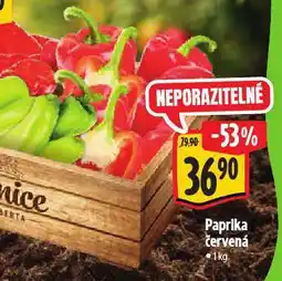 Albert Paprika červená nabídka