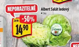 Albert Ledový salát nabídka