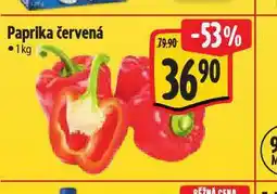 Albert Paprika červená nabídka