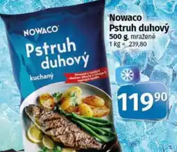COOP TIP Nowaco Pstruh duhový nabídka