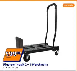 Action Přepravní vozík 2 v 1 Werckmann nabídka