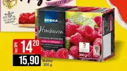 Jip Maliny 300 g nabídka