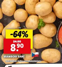 Lidl Brambory konzumní rané nabídka