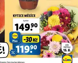 Lidl Kytice měsíce nabídka