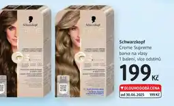 dm drogerie Schwarzkopf Creme Supreme barva na vlasy nabídka