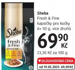 dm drogerie Sheba Fresh & Fine kapsičky pro kočky nabídka