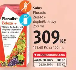 dm drogerie Salus Floradix Železo + doplněk stravy nabídka
