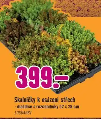 Hornbach Skalničky k osázení střech nabídka