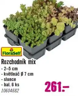 Hornbach Rozchodník mix nabídka