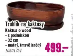 Hornbach Truhlík na kaktusy Kaktus o wood nabídka