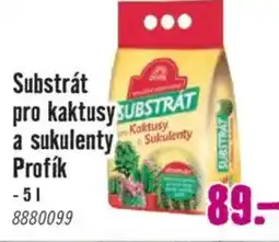 Hornbach Substrát pro kaktusy a sukulenty Profík nabídka