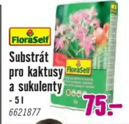 Hornbach FloraSelf Substrát pro kaktusy a sukulenty nabídka