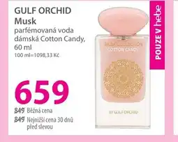 Hebe GULF ORCHID Musk nabídka