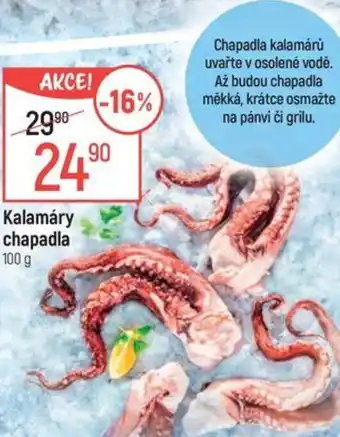 Globus Kalamáry chapadla nabídka