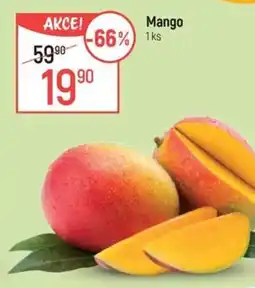 Globus Mango nabídka