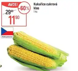 Globus Kukuřice cukrová klas nabídka