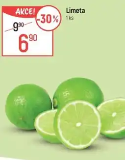 Globus Limeta nabídka