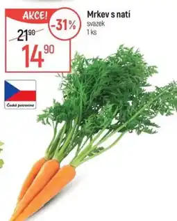 Globus Mrkev s natí nabídka