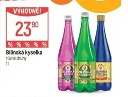 Globus Bílinská kyselka nabídka