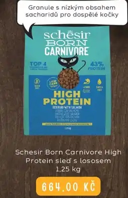 Schesir Born Carnivore High Protein sled's lososem