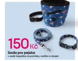 Pepco Sada pro pejska nabídka