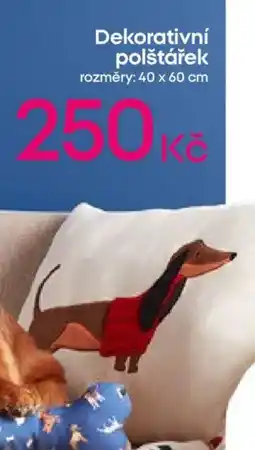 Pepco Dekorativní polštářek nabídka
