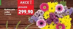 Kaufland Kytice mix velká nabídka