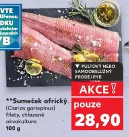 Kaufland Sumeček africký nabídka